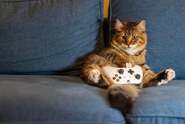 Mejores monitores gaming: Guía de compra completa