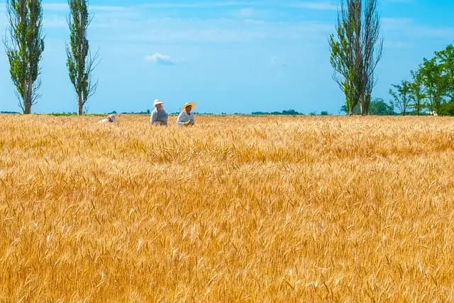 Évitez ces erreurs lors de votre choix de protéines