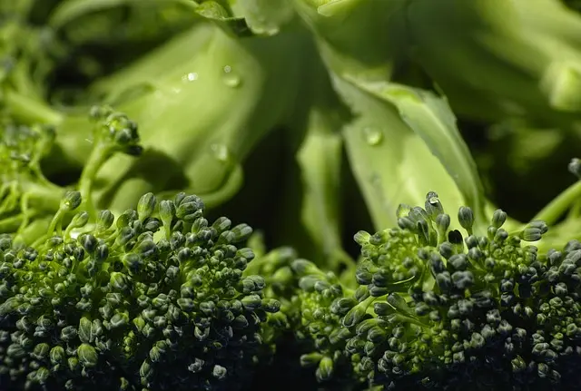 Los Mejores Alimentos Antiinflamatorios 2026